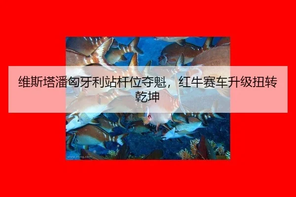 wei-si-ta-pan-xiong-ya-li-zhan-gan-wei-duo-kui-hong-niu-sai-che-sheng-ji-niu-zhuan-qian-kun-3-678.jpg