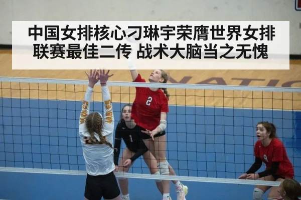 volleyball action