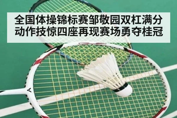 全国体操锦标赛邹敬园双杠满分动作技惊四座再现赛场勇夺桂冠