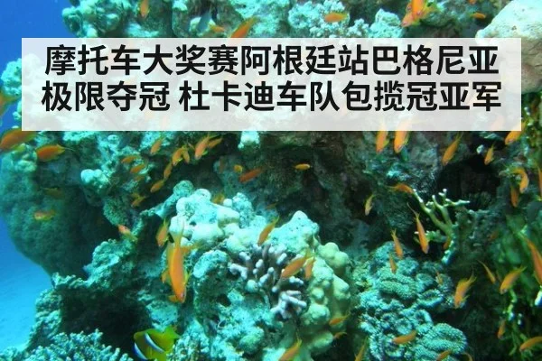 摩托车大奖赛阿根廷站巴格尼亚极限夺冠 杜卡迪车队包揽冠亚军